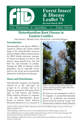 Heterobasidion Root Disease in Eastern Conifers