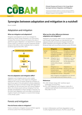 Synergies Between Adaptation and Mitigation