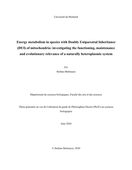 Of Mitochondria: Investigating the Functioning, Maintenance and Evolutionary Relevance of a Naturally Heteroplasmic System