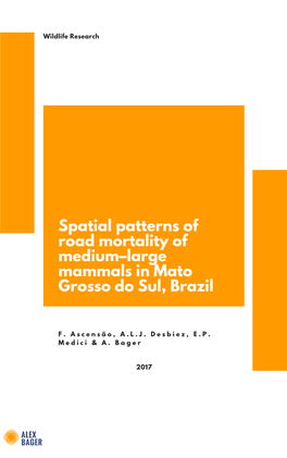 Spatial Patterns of Road Mortality of Medium„&Ndash;„Large Mammals In