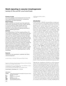 Notch Signaling in Vascular Morphogenesis Jackelyn A