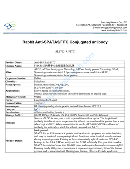 Rabbit Anti-SPATA5/FITC Conjugated Antibody