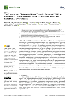CETP) in Endothelial Cells Generates Vascular Oxidative Stress and Endothelial Dysfunction