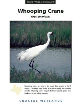 Coastal Wetlands Species Fact Sheet