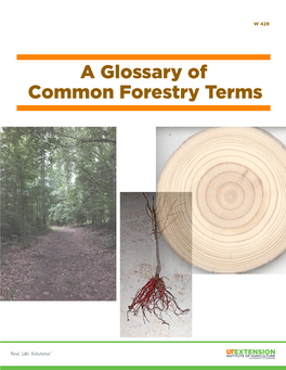 A Glossary of Common Forestry Terms