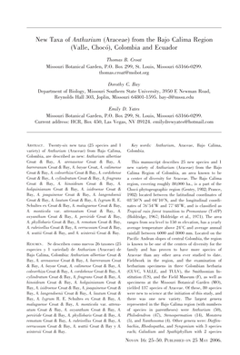 New Taxa of Anthurium (Araceae) from the Bajo Calima Region (Valle, Choco´), Colombia and Ecuador