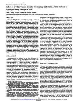 Effect of Erythrocytes on Alveolar Macrophage Cytostatic Activity Induced by Bleomycin Lung Damage in Rats'