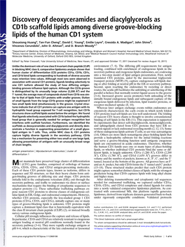 Discovery of Deoxyceramides and Diacylglycerols As Cd1b Scaffold Lipids Among Diverse Groove-Blocking Lipids of the Human CD1 System