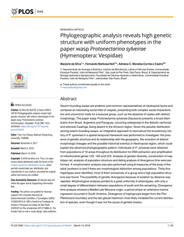 Phylogeographic Analysis Reveals High Genetic Structure with Uniform Phenotypes in the Paper Wasp Protonectarina Sylveirae (Hymenoptera: Vespidae)