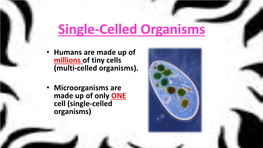 Single-Celled Organisms