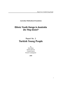 Turkish Young People