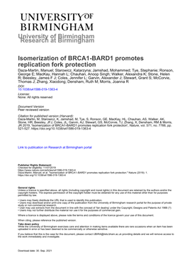 Isomerization of BRCA1-BARD1 Promotes Replication Fork Protection