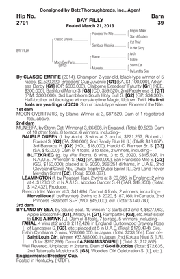 BAY FILLY Barn 39 Hip No. 2701