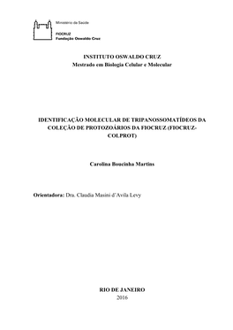 Carolina Martins Ioc Mest 2016.Pdf