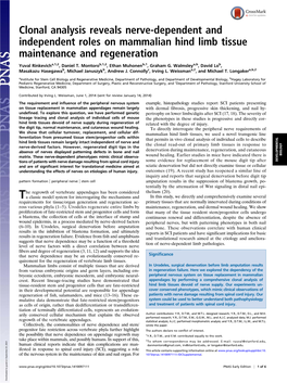 Clonal Analysis Reveals Nerve-Dependent and Independent Roles on Mammalian Hind Limb Tissue Maintenance and Regeneration