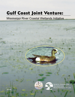 Mississippi River Coastal Wetlands Initiative