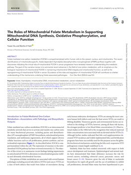 The Roles of Mitochondrial Folate Metabolism in Supporting