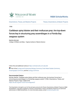 Caribbean Spiny Lobster and Their Molluscan Prey: Are Top-Down Forces Key in Structuring Prey Assemblages in a Florida Bay Seagrass System