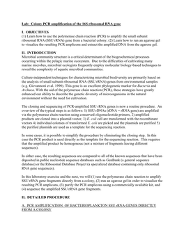 Colony PCR Amplification of the 16S Ribosomal RNA Gene I. OBJECTIVES