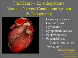 The Heart: 2. Subsystems