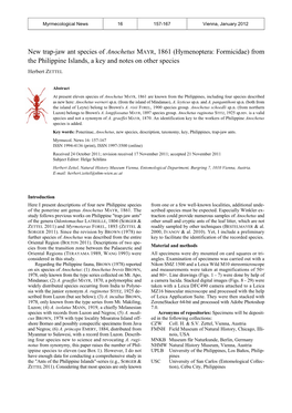 (Hymenoptera: Formicidae) from the Philippine Islands, a Key and Notes on Other Species