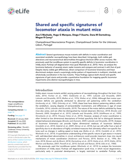 Shared and Specific Signatures of Locomotor Ataxia in Mutant Mice Ana S Machado, Hugo G Marques, Diogo F Duarte, Dana M Darmohray, Megan R Carey*