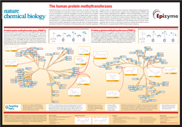 The Human Protein Methyltransferases