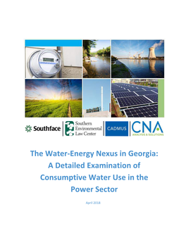 The Water-Energy Nexus in Georgia: a Detailed Examination of Consumptive Water Use in the Power Sector