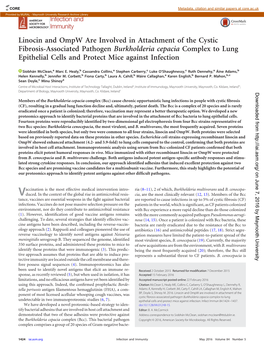 Linocin and Ompw Are Involved in Attachment of the Cystic Fibrosis