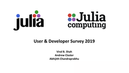2019 Julia User & Developer Survey