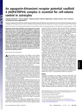 An Aquaporin-4/Transient Receptor Potential Vanilloid 4 (AQP4/TRPV4) Complex Is Essential for Cell-Volume Control in Astrocytes