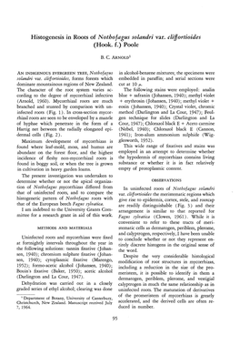 Histogenesis in Roots of Nothofagus Solandri Var. Clifjortioides (Hook. F.) Poole