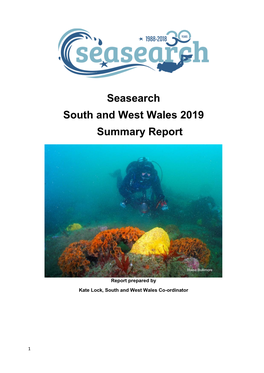 S & W Wales Summary 2019