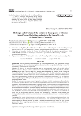 Histology and Structure of the Testicles in Three Species of Atelopus Frogs (Anura: Bufonidae) Endemic to the Sierra Nevada De Santa Marta, Colombia