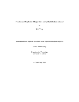 Function and Regulation of Polycystin-2 and Epithelial Sodium Channel