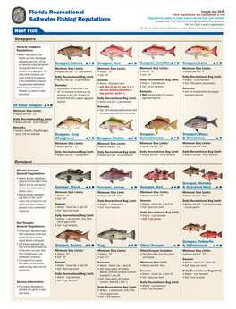 Florida Recreational Saltwater Fishing Regulations