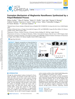 Formation Mechanism of Maghemite Nanoflowers Synthesized by A