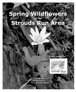 Spring Wildflowers Strouds Run Area