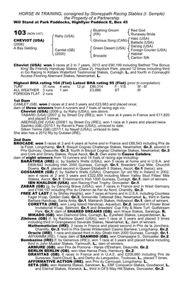 HORSE in TRAINING, Consigned by Stoneypath Racing Stables (I