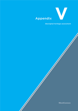 Appendix V Aboriginal Heritage Assessment