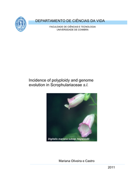 Incidence of Polyploidy and Genome Evolution in Scrophulariaceae S.L