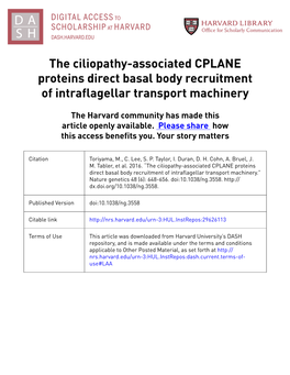 The Ciliopathy-Associated CPLANE Proteins Direct Basal Body Recruitment of Intraflagellar Transport Machinery