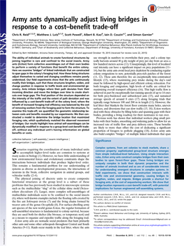 Army Ants Dynamically Adjust Living Bridges in Response to a Cost–Benefit Trade-Off