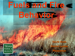 Fuels and Fire Behavior