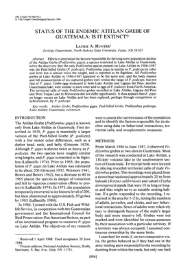 Status of the Endemic Atitlan Grebe of Guatemala: Is It Extinct? ’