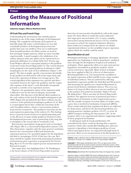 Getting the Measure of Positional Information Johannes Jaeger, Alfonso Martinez-Arias