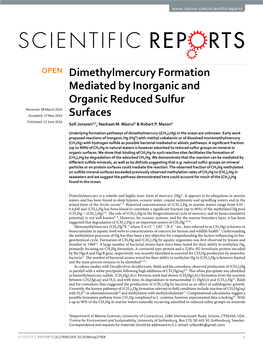 Dimethylmercury Formation Mediated by Inorganic and Organic Reduced