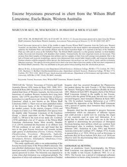 Eocene Bryozoans Preserved in Chert from the Wilson Bluff Limestone, Eucla Basin, Western Australia