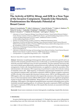 The Activity of KIF14, Mieap, and EZR in a New Type of the Invasive Component, Torpedo-Like Structures, Predetermines the Metastatic Potential of Breast Cancer