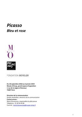 Picasso Bleu Et Rose